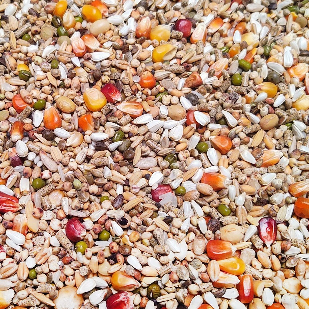 Vanrobaeys Nr.53 Sport Ultra Pro - Revolution 20kg 3 Vanrobaeys Nr.53 Sport Ultra Pro - Revolution 20kg