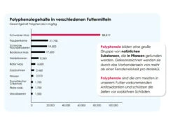 Versele Master Witwer 20kg -Zubehör Für Haustauben antioxidantien 11