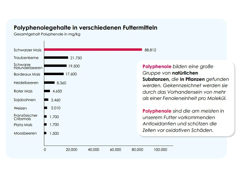 Versele Master R Exclusiv 20kg 5 Versele Master R Exclusiv 20kg – Bild 3
