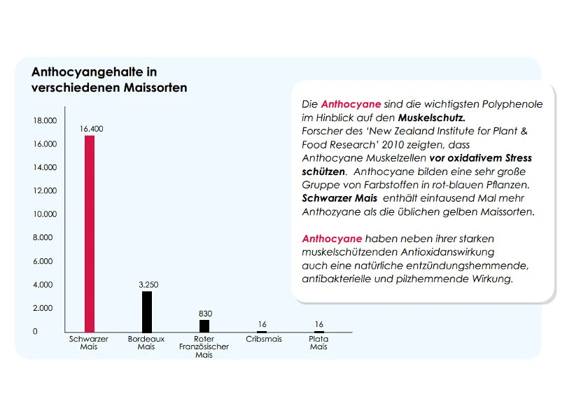 Versele Master R Exclusiv 20kg 6 Versele Master R Exclusiv 20kg – Bild 4