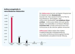 Versele Start Plus I.C.⁺ 20kg 8 Versele Start Plus I.C.⁺ 20kg -Zubehör Für Haustauben antioxidantien 29