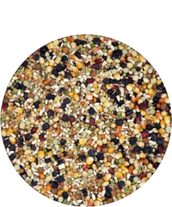 Versele Champion Plus IC+ Black Label, 20kg