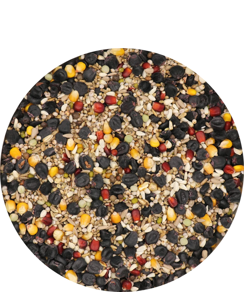 Versele Master Black 20kg 3 Versele Master Black 20kg