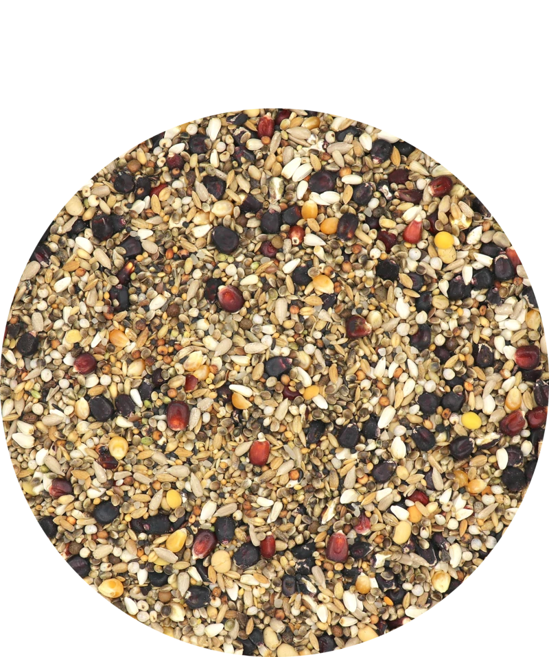 Versele Master R Exclusiv 20kg 3 Versele Master R Exclusiv 20kg