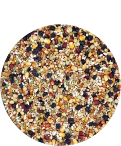 Versele Superstar Plus IC+ Black Label 20kg