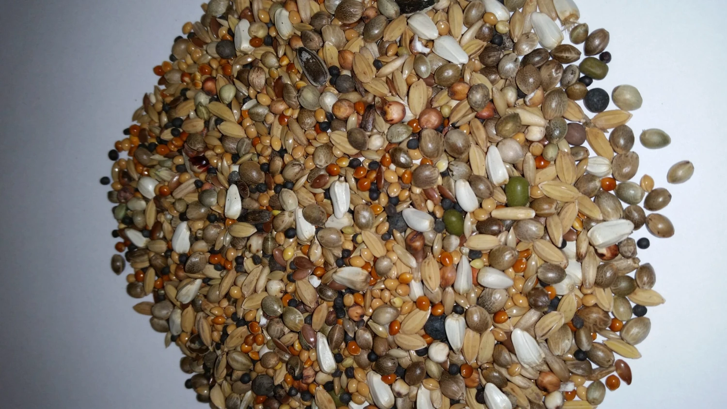 Paloma Nr.24 Diamond Sämereien 20kg 3 Paloma Nr.24 Diamond Sämereien 20kg