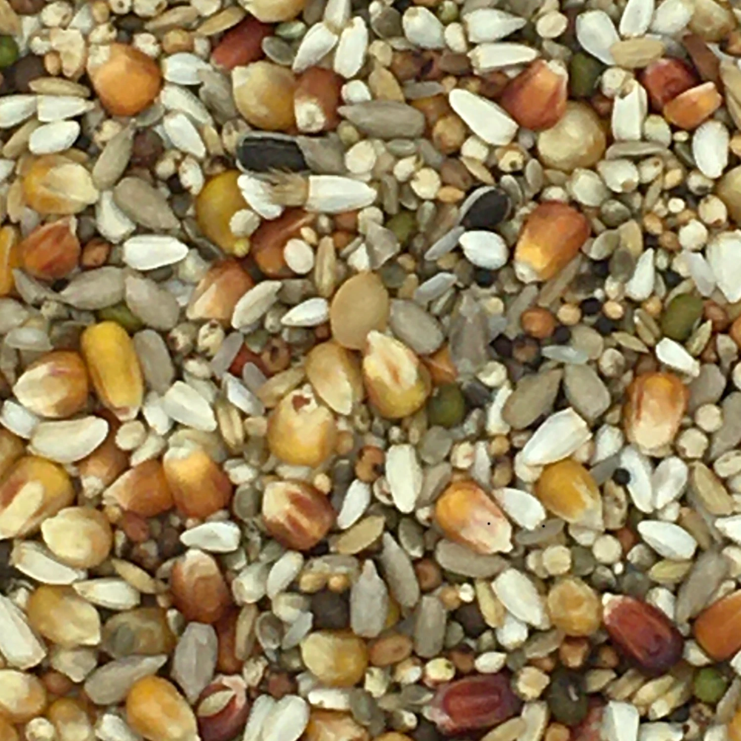 Vanrobaeys Nr.735 Super Champ Premium Power 20kg 3 Vanrobaeys Nr.735 Super Champ Premium Power 20kg