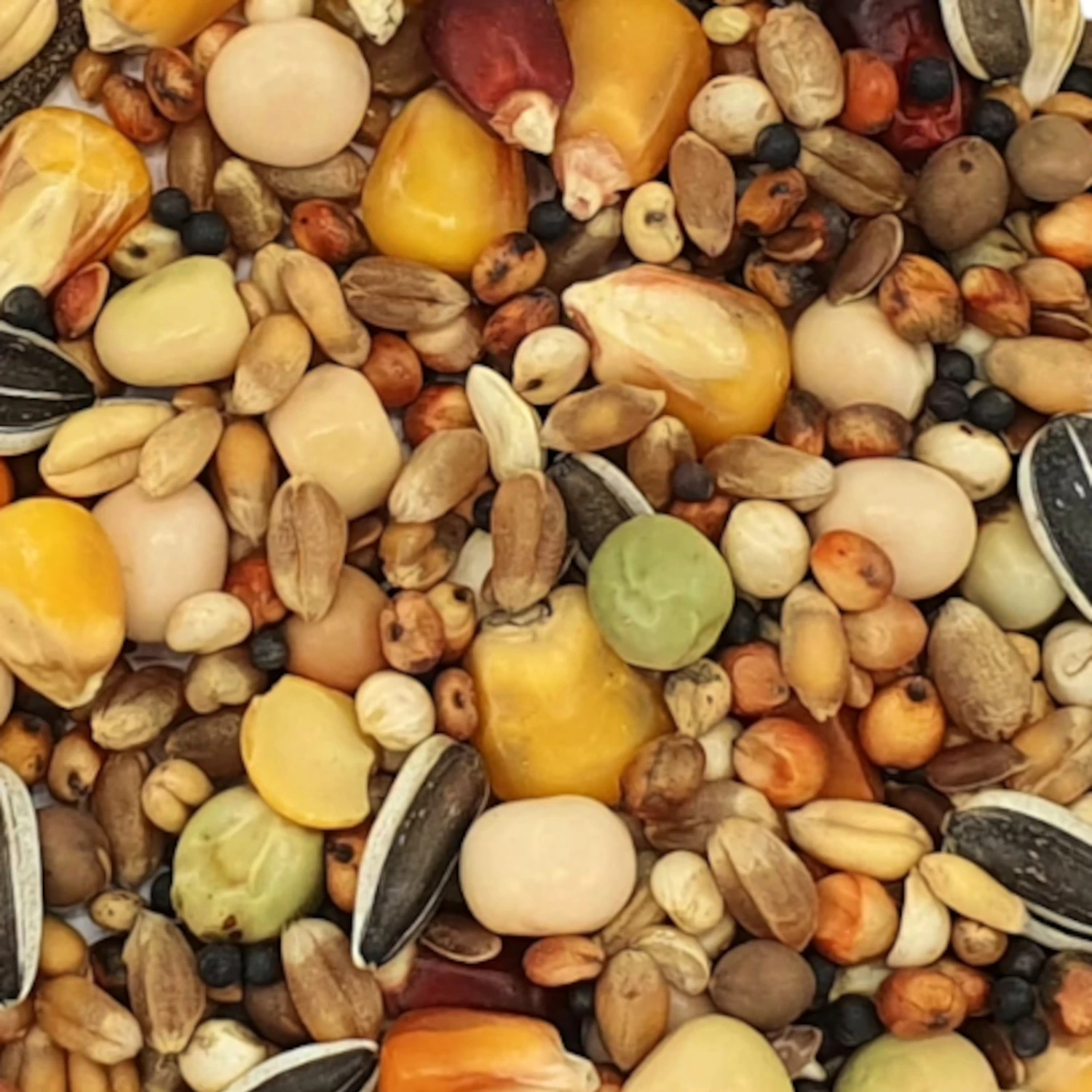 Vanrobaeys Nr.837 All In Olympia 20kg 3 Vanrobaeys Nr.837 All In Olympia 20kg